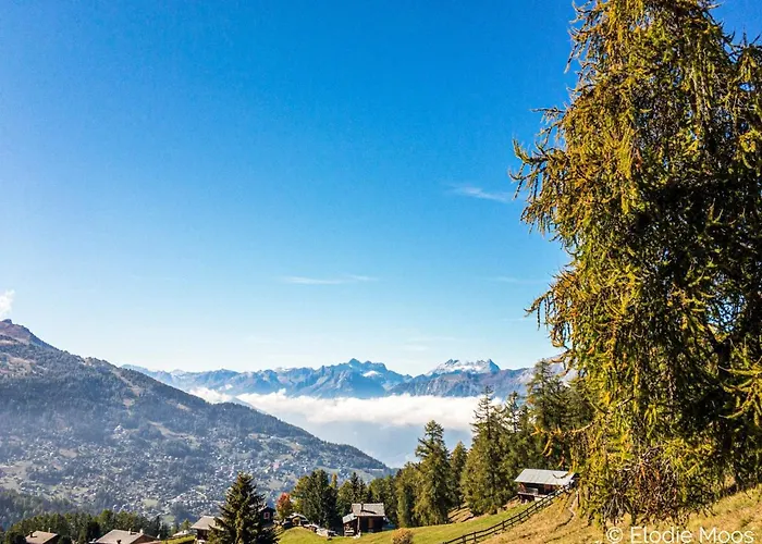 Des Alpes Nature & Mountain By Alpvision Residences Apartment Iserables